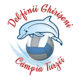 CS Delfinii Ghirișeni logo